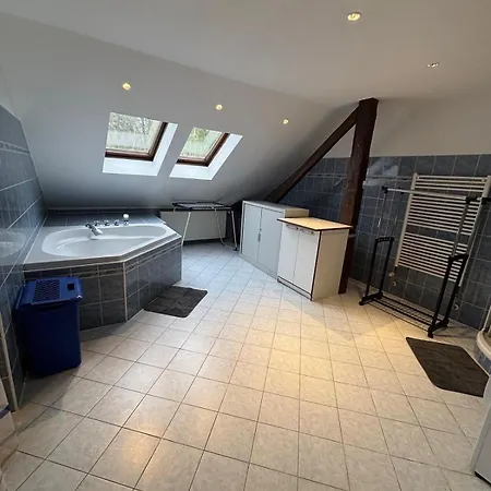 Zahradni Appartement Františkovy Lázně